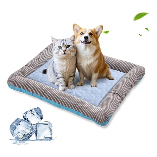 PETCUTE Haustier Katzenbett Katzen Tiere Hundedecke Hundekorb,Hundebett Grosse Mittlere Kleine Hunde,Hundedecke Hundebett Katzenbett Tierbett für Hunde Katzen von PETCUTE