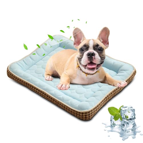 PETCUTE Kühlmatte für Hunde,Hundebett Katzenbett Haustier Kühlmatten,Waschbar Hunde Kühldecke Bett,Hund Selbstkühlende Decke im heißen Sommer,Haustier Schlaf Eisseide Kühlbett für Kleine Hund Katzen PETCUTE Kühlmatte für Hunde,Hundebett Katzenbett Haustier Kühlmatten,Waschbar Hunde Kühldecke Bett,Hund Selbstkühlende Decke im heißen Sommer,Haustier Schlaf Eisseide Kühlbett für Kleine Hund Katzen von PETCUTE