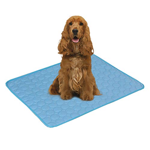 PETCUTE Kühlmatte für Hunde Haustier Kühlmatte für Katzen Kühldecke Hund Selbstkühlende Decke für Hunde Blau M PETCUTE Kühlmatte für Hunde Haustier Kühlmatte für Katzen Kühldecke Hund Selbstkühlende Decke für Hunde Blau M von PETCUTE