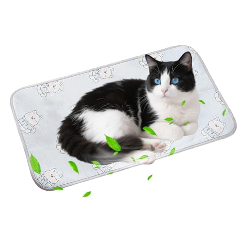PETCUTE Kühlmatte für Hunde Katze,Selbstkühlende Hundematte,Tragbar Ungiftig Kühlkissen für Haustiere,Waschbar Hund Kältematte für Drinnen, Draußen und Auto,Doppelseitig verfügbar M von PETCUTE