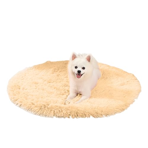 PETCUTE Langer Plüsch Hundebett,Weiches und Warmes Hundebett Grosse Hunde,Waschbar Hundekissen Flauschig mit rutschfeste Unterseite,Hundematte für große,mittelgroße Hunde,Haustierbett PETCUTE Langer Plüsch Hundebett,Weiches und Warmes Hundebett Grosse Hunde,Waschbar Hundekissen Flauschig mit rutschfeste Unterseite,Hundematte für große,mittelgroße Hunde,Haustierbett von PETCUTE