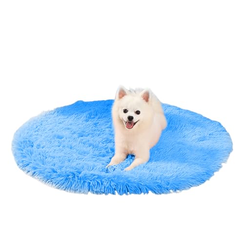 PETCUTE Langer Plüsch Hundebett,Weiches und Warmes Hundebett Grosse Hunde,Waschbar Hundekissen Flauschig mit rutschfeste Unterseite,Hundematte für große,mittelgroße Hunde,Haustierbett PETCUTE Langer Plüsch Hundebett,Weiches und Warmes Hundebett Grosse Hunde,Waschbar Hundekissen Flauschig mit rutschfeste Unterseite,Hundematte für große,mittelgroße Hunde,Haustierbett von PETCUTE
