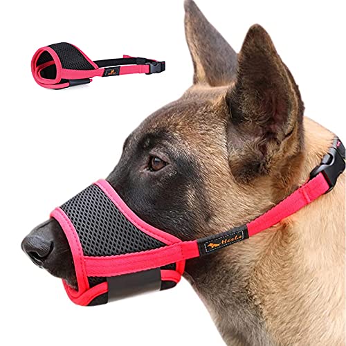 PETCUTE Maulkorb Für Hunde,Hunde Maulkorb mit Verstellbarer Schlaufe Atmungsaktiv, Sicherer, Maulkorb Für Kleine, Mittelgroße Hunde, Hundemaulkorb,Verhindert Das Beißen, Kauen Und Bellen PETCUTE Maulkorb Für Hunde,Hunde Maulkorb mit Verstellbarer Schlaufe Atmungsaktiv, Sicherer, Maulkorb Für Kleine, Mittelgroße Hunde, Hundemaulkorb,Verhindert Das Beißen, Kauen Und Bellen von PETCUTE