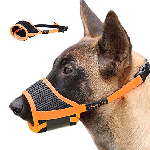 PETCUTE Maulkorb Für Hunde,Hunde Maulkorb mit Verstellbarer Schlaufe Atmungsaktiv, Sicherer, Maulkorb Für Kleine, Mittelgroße Hunde, Hundemaulkorb,Verhindert Das Beißen, Kauen Und Bellen PETCUTE Maulkorb Für Hunde,Hunde Maulkorb mit Verstellbarer Schlaufe Atmungsaktiv, Sicherer, Maulkorb Für Kleine, Mittelgroße Hunde, Hundemaulkorb,Verhindert Das Beißen, Kauen Und Bellen von PETCUTE