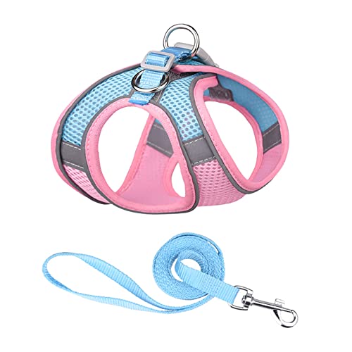 PETCUTE No-Pull Hundegeschirr,Verstellbare Hundegeschirr für Kleine, mittelgroße und große Hunde,Reflektierend Softgeschirr mit D-Ring,Atmungsaktiv Mesh Sicherheitsgeschirr für Kleine Mittlere Hunde PETCUTE No-Pull Hundegeschirr,Verstellbare Hundegeschirr für Kleine, mittelgroße und große Hunde,Reflektierend Softgeschirr mit D-Ring,Atmungsaktiv Mesh Sicherheitsgeschirr für Kleine Mittlere Hunde von PETCUTE