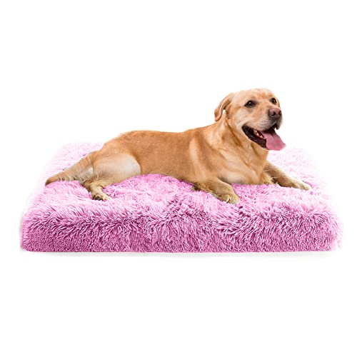 PETCUTE Orthopädische Hundekissen Katzenbett,Waschbar Haustierbett für Katzen und Hunde,Flauschiges Hundebett mit Memory Foam,Bequeme Weich Hundebett mit rutschfeste Unterseite mit Abnehmbarem Bezug PETCUTE Orthopädische Hundekissen Katzenbett,Waschbar Haustierbett für Katzen und Hunde,Flauschiges Hundebett mit Memory Foam,Bequeme Weich Hundebett mit rutschfeste Unterseite mit Abnehmbarem Bezug von PETCUTE