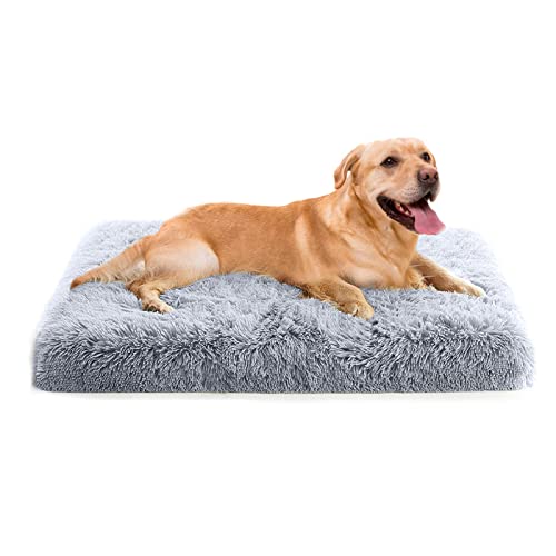 PETCUTE Orthopädische Hundekissen Katzenbett,Waschbar Haustierbett für Katzen und Hunde,Flauschiges Hundebett mit Memory Foam,Bequeme Weich Hundebett mit rutschfeste Unterseite mit Abnehmbarem Bezug von PETCUTE