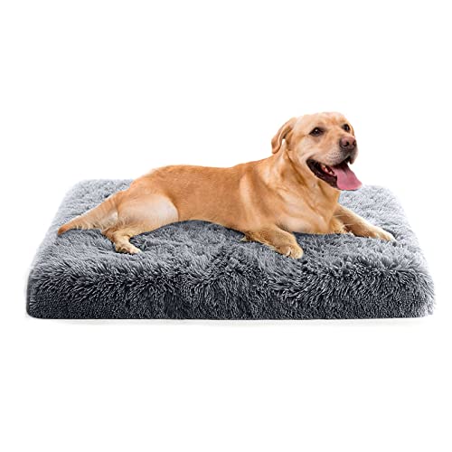 PETCUTE Orthopädische Hundekissen Katzenbett,Waschbar Haustierbett für Katzen und Hunde,Flauschiges Hundebett mit Memory Foam,Bequeme Weich Hundebett mit rutschfeste Unterseite mit Abnehmbarem Bezug PETCUTE Orthopädische Hundekissen Katzenbett,Waschbar Haustierbett für Katzen und Hunde,Flauschiges Hundebett mit Memory Foam,Bequeme Weich Hundebett mit rutschfeste Unterseite mit Abnehmbarem Bezug von PETCUTE