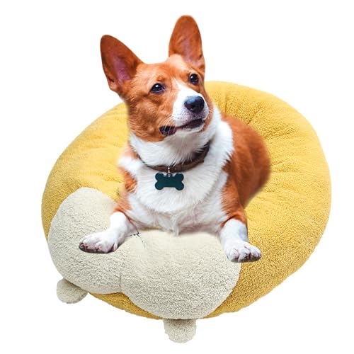 PETCUTE Orthopädisches Hundebett,Katzenbett Waschbar Katzen Bettchen mit Rutschfestes Boden,Haustierbett für Mittelgroße Hunde Katzen,Warmes,Bequemes Hundesofa Katzensofa Für Drinnen Und Draußen PETCUTE Orthopädisches Hundebett,Katzenbett Waschbar Katzen Bettchen mit Rutschfestes Boden,Haustierbett für Mittelgroße Hunde Katzen,Warmes,Bequemes Hundesofa Katzensofa Für Drinnen Und Draußen von PETCUTE