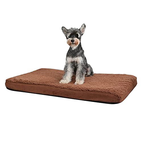 PETCUTE Orthopädisches Hundebett Grosse Hunde,Hundekissen Hundebett Waschbar,Memory Schaum Hundebett mit Abnehmbarem, Waschbarem Bezug,Weich Hundematratze mit Rutschfester Unterseite PETCUTE Orthopädisches Hundebett Grosse Hunde,Hundekissen Hundebett Waschbar,Memory Schaum Hundebett mit Abnehmbarem, Waschbarem Bezug,Weich Hundematratze mit Rutschfester Unterseite von PETCUTE