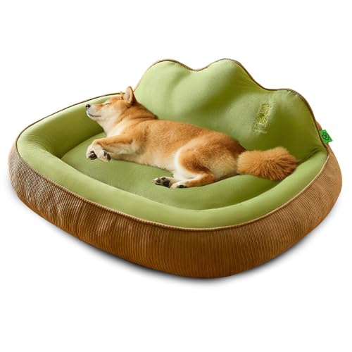 PETCUTE Orthopädisches Hundebett Grosse Hunde,Waschbar Hundekorb Mittelgroße Hunde,Superweicher Hundesofa mit rutschfeste Unterseite, Hundecouch mit Hohem Rand,Katzensofa Hundebett für Katzen PETCUTE Orthopädisches Hundebett Grosse Hunde,Waschbar Hundekorb Mittelgroße Hunde,Superweicher Hundesofa mit rutschfeste Unterseite, Hundecouch mit Hohem Rand,Katzensofa Hundebett für Katzen von PETCUTE