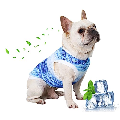 PETCUTE Sommer Hundeshirt,Kühlwesten für Hunde,Weich Hund Ärmellose Weste Atmungsaktiv,UV-Schutz Haustier T-Shirt,Haustier Kühlweste Geeignet für Kleine bis mittelgroße Hunde und Welpen,XL von PETCUTE