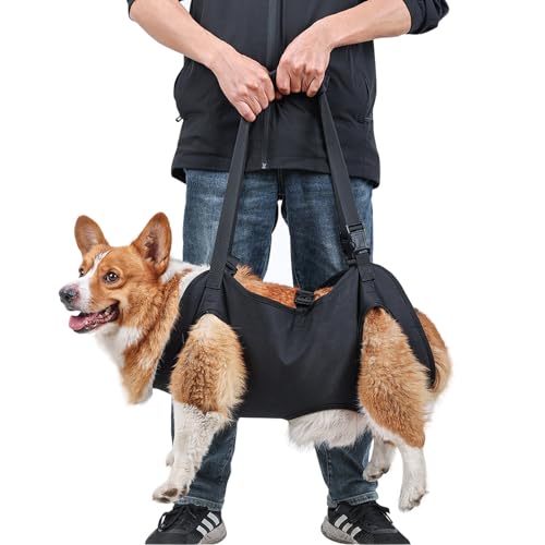 PETCUTE Tragehilfe Hund mit gleichmäßiger Kraftverteilung,Ganzkörperhilfe, Hundeschlinge für ältere Hunde mit Gelenkverletzungen, Arthritis, Treppen-Schwarz, S von PETCUTE