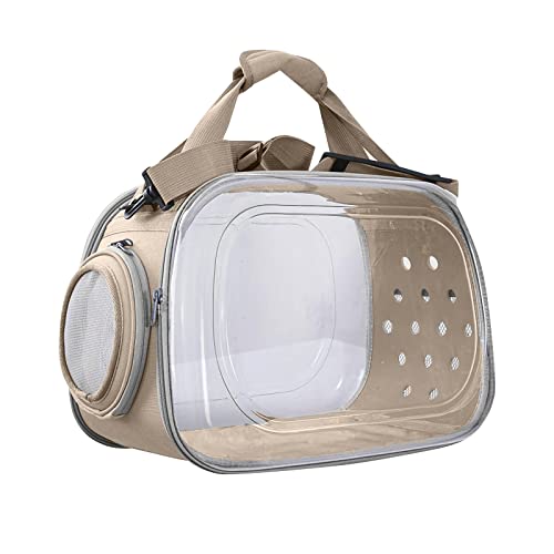 PETCUTE Transportbox für Hunde und Katzen,Faltbar und Waschbar,Hundetasche Tragetasche für Katze Kleine Hund,Katze Transporttasche mit Schultergurt,Komfortabler Griff,für Reisen im Flugzeug PETCUTE Transportbox für Hunde und Katzen,Faltbar und Waschbar,Hundetasche Tragetasche für Katze Kleine Hund,Katze Transporttasche mit Schultergurt,Komfortabler Griff,für Reisen im Flugzeug von PETCUTE