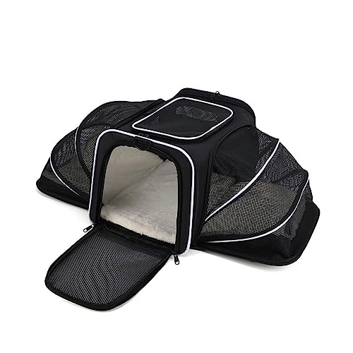 PETCUTE Transporttasche Katze und Hunde, Faltbare Katzentransportbox Hundetasche mit Herausnehmbarer Matte,Sicherheitsleine,Atmungsaktive Transporttasche für Haustiere im Auto Für Reisen PETCUTE Transporttasche Katze und Hunde, Faltbare Katzentransportbox Hundetasche mit Herausnehmbarer Matte,Sicherheitsleine,Atmungsaktive Transporttasche für Haustiere im Auto Für Reisen von PETCUTE