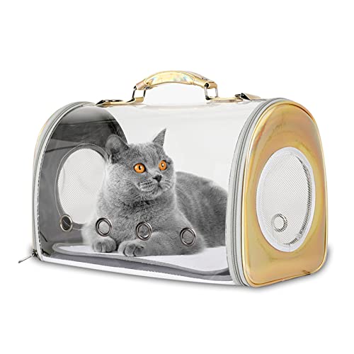 PETCUTE Transporttasche für Hunde & Katzen,Atmungsaktive Transparent Katzentasche Katzentransportbox mit Verstellbarer Schultergurt,Airline Genehmigt Hundetragetasche für Draußen, Reisen von PETCUTE