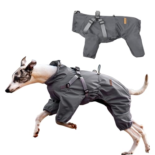 PETCUTE Verstellbare Regenjacke Hund, Hunderegenmantel Wasserdicht, Hunderegenmantel mit Loch für die Leine, Reflektierender Riemen für kleine, mittelgroße Hunde(Dunkelgrau, M) von PETCUTE