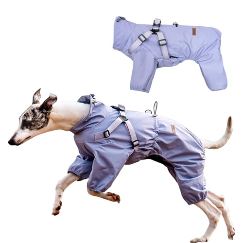 PETCUTE Verstellbare Regenjacke Hund, Hunderegenmantel Wasserdicht, Hunderegenmantel mit Loch für die Leine, Reflektierender Riemen für kleine, mittelgroße Hunde(Violett, 2XL) von PETCUTE