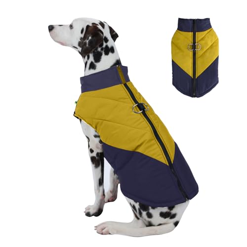 PETCUTE Wasserdichter Hundemantel,Warme Jacke für Haustiere,Winddichte Hundekleidung für kaltes Wetter Outfit mit Geschirr D-Snap,Winterweste für mittelgroße Hunde,Leicht zu Tragen PETCUTE Wasserdichter Hundemantel,Warme Jacke für Haustiere,Winddichte Hundekleidung für kaltes Wetter Outfit mit Geschirr D-Snap,Winterweste für mittelgroße Hunde,Leicht zu Tragen von PETCUTE