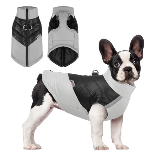 PETCUTE Wasserdichter Hundemantel Winter Warme Hundejacke mit D-Ring,Hund Winterweste mit Reflektierendem Streifen,Hunde Mantel Warme Jacke für Kleine Mittlere Große Hunde Chihuahua Labrador von PETCUTE