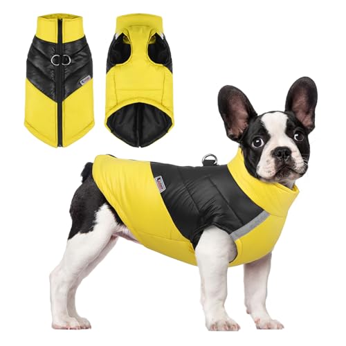 PETCUTE Wasserdichter Hundemantel Winter Warme Hundejacke mit D-Ring,Hund Winterweste mit Reflektierendem Streifen,Hunde Mantel Warme Jacke für Kleine Mittlere Große Hunde Chihuahua Labrador PETCUTE Wasserdichter Hundemantel Winter Warme Hundejacke mit D-Ring,Hund Winterweste mit Reflektierendem Streifen,Hunde Mantel Warme Jacke für Kleine Mittlere Große Hunde Chihuahua Labrador von PETCUTE
