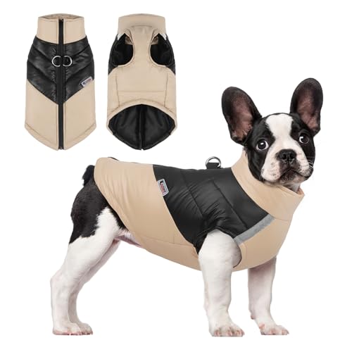 PETCUTE Wasserdichter Hundemantel Winter Warme Hundejacke mit D-Ring,Hund Winterweste mit Reflektierendem Streifen,Hunde Mantel Warme Jacke für Kleine Mittlere Große Hunde Chihuahua Labrador PETCUTE Wasserdichter Hundemantel Winter Warme Hundejacke mit D-Ring,Hund Winterweste mit Reflektierendem Streifen,Hunde Mantel Warme Jacke für Kleine Mittlere Große Hunde Chihuahua Labrador von PETCUTE