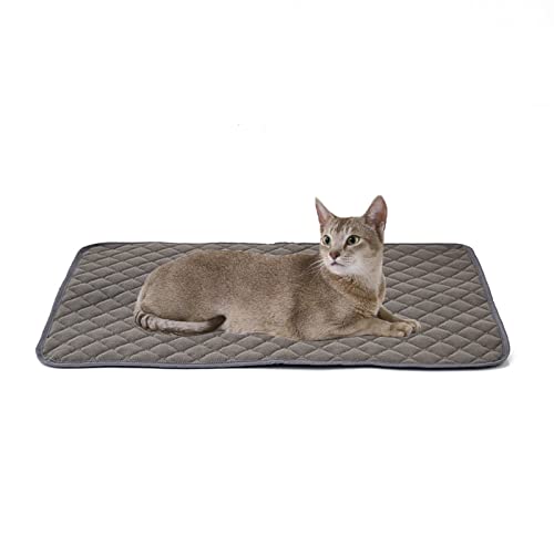 PETCUTE Welpenunterlage Waschbar,Wiederverwendbar Erziehungsunterlage für Kleine Hunde und Welpen,Welpen-Trainingspads,Super Saugfähig,Hundetrainingspads mit Wasserdichter Rutschfester Unterseite PETCUTE Welpenunterlage Waschbar,Wiederverwendbar Erziehungsunterlage für Kleine Hunde und Welpen,Welpen-Trainingspads,Super Saugfähig,Hundetrainingspads mit Wasserdichter Rutschfester Unterseite von PETCUTE