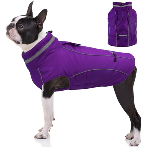 PETDSH Warme Hundejacke, reflektierend, verstellbar, winddicht, Hunde-Rollkragenkleidung, wasserdichte Schneejacke (XS) von PETDSH