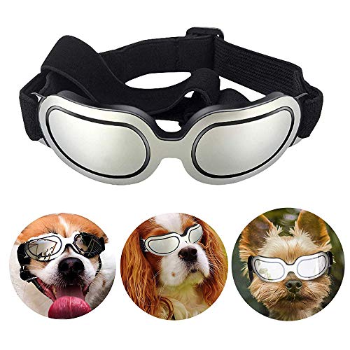 PETEMOO Haustier-Hundeschutzbrillen UV-Sonnenbrille, winddichter Schutz Hündchen-Welpen-Sonnenbrille, Hundebrille für großen Hund von PETEMOO