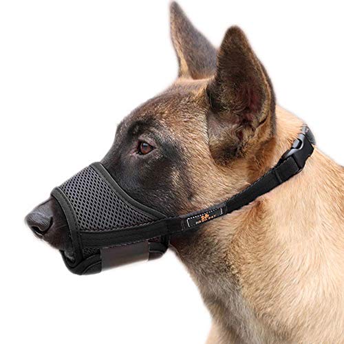 PETEMOO Hund Maulkorb, Gepolstert und Einstellbar Mesh, für meistens Hunde, Größe XS bis XL PETEMOO Hund Maulkorb, Gepolstert und Einstellbar Mesh, für meistens Hunde, Größe XS bis XL von PETEMOO