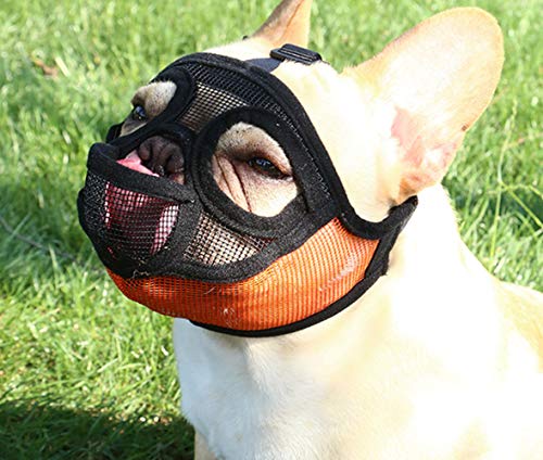 PETEMOO Maulkorb für Hunde mit abgeflachter Schnauze-verstellbar, atmungsaktiv: Englische Bulldogge, Französische Bulldogge, Pekingese, Shih-Tzu, Mops, auch für Katzen geeignet. PETEMOO Maulkorb für Hunde mit abgeflachter Schnauze-verstellbar, atmungsaktiv: Englische Bulldogge, Französische Bulldogge, Pekingese, Shih-Tzu, Mops, auch für Katzen geeignet. von PETEMOO