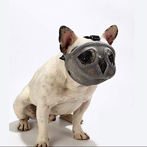 PETEMOO Maulkorb für Hunde mit abgeflachter Schnauze-verstellbar, atmungsaktiv: Englische Bulldogge, Französische Bulldogge, Pekingese, Shih-Tzu, Mops, auch für Katzen geeignet. PETEMOO Maulkorb für Hunde mit abgeflachter Schnauze-verstellbar, atmungsaktiv: Englische Bulldogge, Französische Bulldogge, Pekingese, Shih-Tzu, Mops, auch für Katzen geeignet. von PETEMOO