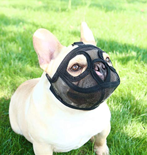 PETEMOO Maulkorb für Hunde mit abgeflachter Schnauze-verstellbar, atmungsaktiv: Englische Bulldogge, Französische Bulldogge, Pekingese, Shih-Tzu, Mops, auch für Katzen geeignet. PETEMOO Maulkorb für Hunde mit abgeflachter Schnauze-verstellbar, atmungsaktiv: Englische Bulldogge, Französische Bulldogge, Pekingese, Shih-Tzu, Mops, auch für Katzen geeignet. von PETEMOO