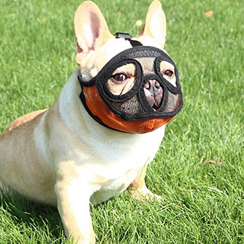 PETEMOO Maulkorb für Hunde mit abgeflachter Schnauze-verstellbar, atmungsaktiv: Englische Bulldogge, Französische Bulldogge, Pekingese, Shih-Tzu, Mops, auch für Katzen geeignet. PETEMOO Maulkorb für Hunde mit abgeflachter Schnauze-verstellbar, atmungsaktiv: Englische Bulldogge, Französische Bulldogge, Pekingese, Shih-Tzu, Mops, auch für Katzen geeignet. von PETEMOO
