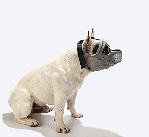PETEMOO Maulkorb für Hunde mit abgeflachter Schnauze-verstellbar, atmungsaktiv: Englische Bulldogge, Französische Bulldogge, Pekingese, Shih-Tzu, Mops, auch für Katzen geeignet. PETEMOO Maulkorb für Hunde mit abgeflachter Schnauze-verstellbar, atmungsaktiv: Englische Bulldogge, Französische Bulldogge, Pekingese, Shih-Tzu, Mops, auch für Katzen geeignet. von PETEMOO