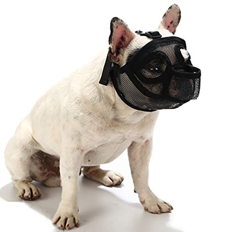 PETEMOO Maulkorb für Hunde mit abgeflachter Schnauze-verstellbar, atmungsaktiv: Englische Bulldogge, Französische Bulldogge, Pekingese, Shih-Tzu, Mops, auch für Katzen geeignet. PETEMOO Maulkorb für Hunde mit abgeflachter Schnauze-verstellbar, atmungsaktiv: Englische Bulldogge, Französische Bulldogge, Pekingese, Shih-Tzu, Mops, auch für Katzen geeignet. von PETEMOO
