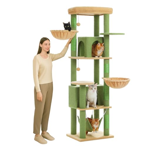 PETEPELA Hoher Kratzbaum für Große Katzen, 181 cm Katzenbaum mit Hängematte, 5 Kratzpfosten, 2 Schlafhäusern & XL Plattform – Stabiles Katzenspielzeug, Kletterturm für Schwergewichtskatzen, Grün PETEPELA Hoher Kratzbaum für Große Katzen, 181 cm Katzenbaum mit Hängematte, 5 Kratzpfosten, 2 Schlafhäusern & XL Plattform – Stabiles Katzenspielzeug, Kletterturm für Schwergewichtskatzen, Grün von PETEPELA