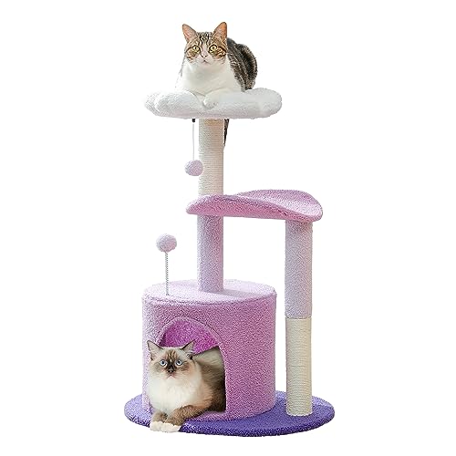 PETEPELA Kratzbaum klein 84cm moderner Katzenzbaum abziehbar top Bett, Plüsch Höhle, 2 Sisalsäulen, 2 Spielbälle, lila von PETEPELA