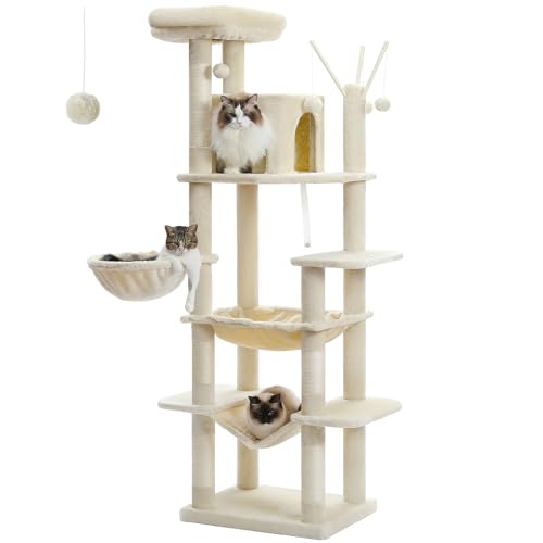 PETEPELA Kratzbaum für große Katzen im Innenbereich, 173 cm, hoher Katzenturm für dicke Katzen mit super großer Hängematte (50 x 40 cm), mehrstufige Katzenaktivitätsbäume mit Kratzbaum, Wohnhaus und von PETEPELA