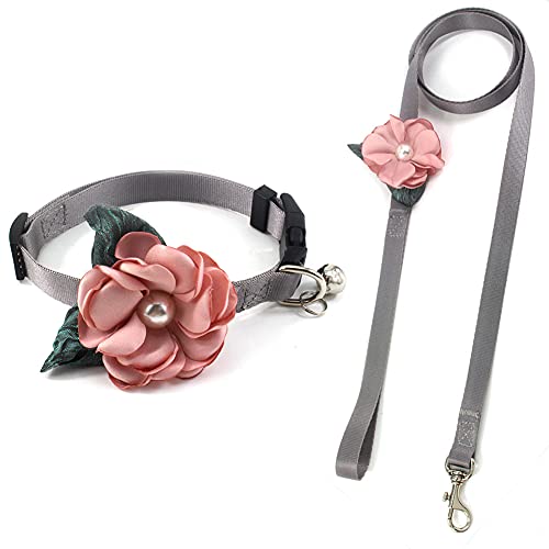 PETFAVORITES Daisy Hundehalsband für Damen, abnehmbares Katzenhalsband mit Blume, für Mädchen, Katzen, Haustierhalsband für mittelgroße Hunde und Mädchen (rosa Halsband und Leine, Größe M) von PETFAVORITES