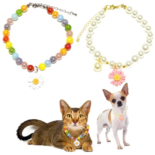 PETFAVORITES Gänseblümchen-Perlen-Katzenhalsband, verstellbare Halskette für Mädchen, Katzen, sicher, leicht, Hochzeitsfeier, Schmuck für kleine Hunde (Regenbogen/Weiß, Größe L) von PETFAVORITES