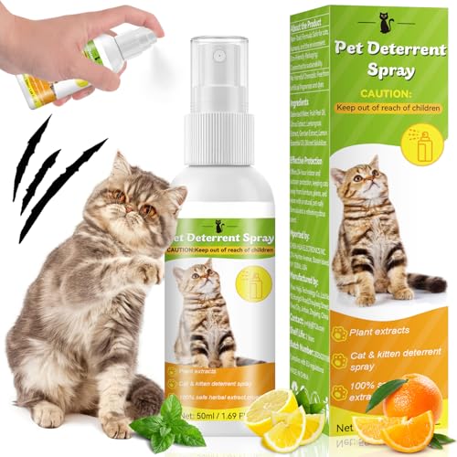 Katzenabwehrspray,50ml Katzen Fernhaltespray für Innen Fernhaltemittel für Katzen Beruhigungsmittel für Katzen Anti Kratz Spray Katzen für Pflanzen,Böden,Möbel,Schützt Ihr Zuhause von PETFAVORITES