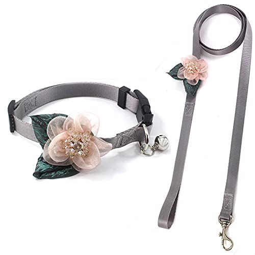 PETFAVORITES Sunflower Girl Hundehalsband – Abnehmbares Blumen-Katzenhalsband für Mädchen und Katzen, mit schickem Kristallstempel, grünes Blattglocke, weiches Nylon-Halsband für weibliche kleine PETFAVORITES Sunflower Girl Hundehalsband – Abnehmbares Blumen-Katzenhalsband für Mädchen und Katzen, mit schickem Kristallstempel, grünes Blattglocke, weiches Nylon-Halsband für weibliche kleine von PETFAVORITES