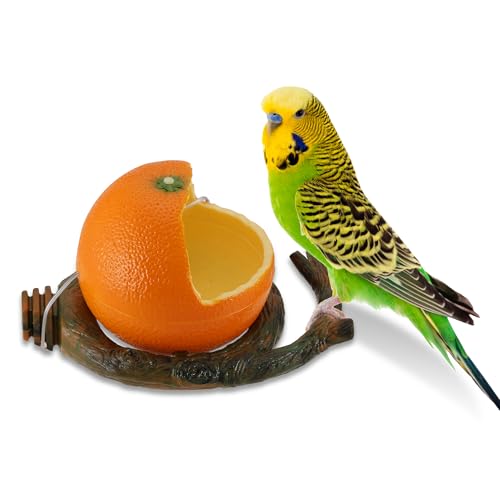 PETFROH Futterschale für kleine Vögel, Wellensittiche, Nymphensittiche, Lovebirds Kanarienvögel PETFROH Futterschale für kleine Vögel, Wellensittiche, Nymphensittiche, Lovebirds Kanarienvögel von PETFROH