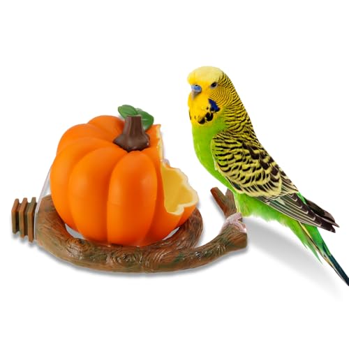 PETFROH Futterschale für kleine Vögel, Wellensittiche, Nymphensittiche, Lovebirds Kanarienvögel PETFROH Futterschale für kleine Vögel, Wellensittiche, Nymphensittiche, Lovebirds Kanarienvögel von PETFROH