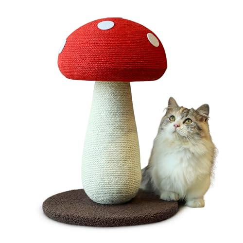 PETFROH Kratzbaum mit Sisal-Ummantelung – Niedriger Pilz-Kratzbaum für Hauskatzen (Höhe 50 cm) PETFROH Kratzbaum mit Sisal-Ummantelung – Niedriger Pilz-Kratzbaum für Hauskatzen (Höhe 50 cm) von PETFROH