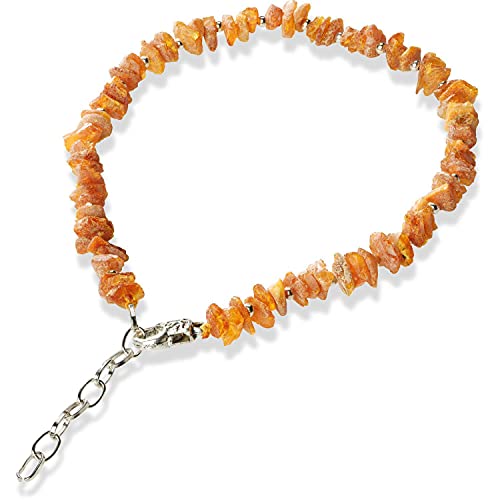 Bernsteinhalsband Bernsteinkette mit Kette für Hunde + Katzen 46-50 cm von PETGARD