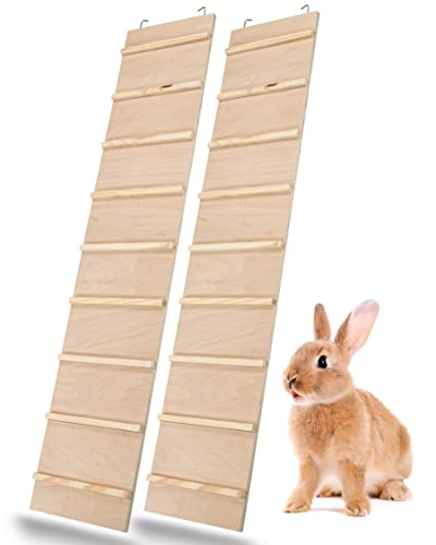 2er Sparpack Holzleiter Nagertreppe Nagerleiter WEGA 85 x 18 cm aus unbeh. Sperrholz 2er Sparpack Holzleiter Nagertreppe Nagerleiter WEGA 85 x 18 cm aus unbeh. Sperrholz von PETGARD
