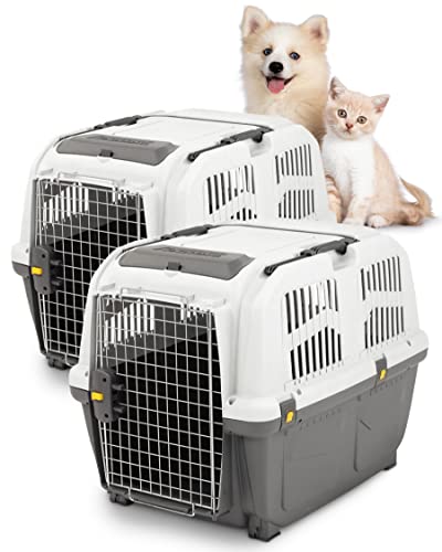 PETGARD 2er-Set Tierbox SKUDO 4 und 5 - Transport-Box für Tiere - Hunde-Box - Haustier-Transporter mit Hunde-Spielzeug - Kleintier-Box 66x45x50 cm und 79x58x65 cm von PETGARD