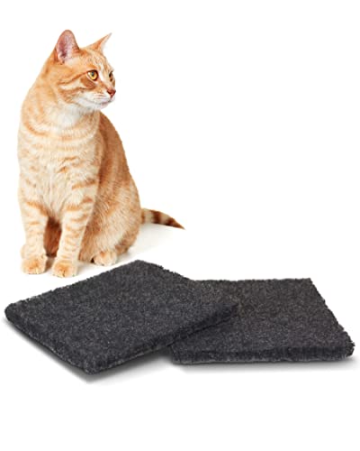 PETGARD 2 Ersatz Kohlefilter für Designer Retro Katzen-Toilette - Katzenklo-Filter - Aktivkohle-Filter für Haustier-Klo - Filter für Katzen-Klo PETGARD 2 Ersatz Kohlefilter für Designer Retro Katzen-Toilette - Katzenklo-Filter - Aktivkohle-Filter für Haustier-Klo - Filter für Katzen-Klo von PETGARD